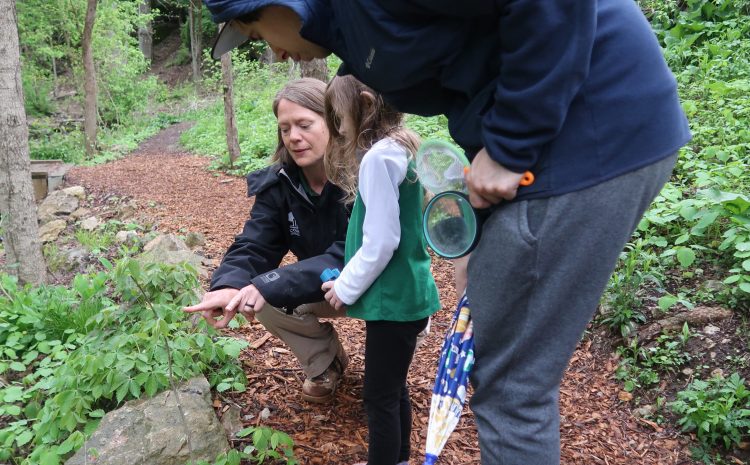 Bioblitz with Columbus Recreation and Parks