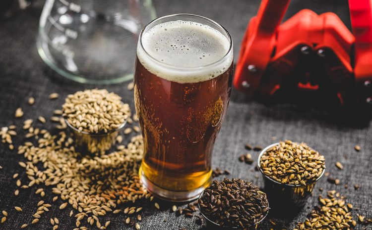 Unraveling the Art and Science Behind Brewing Beer