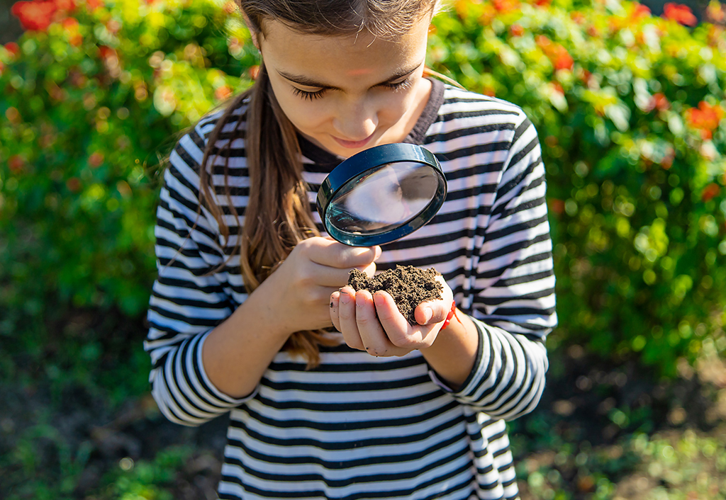 Curious Creatures