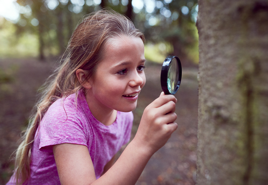 Nature Detectives